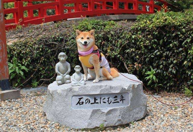 なにもかも中途半端な人！