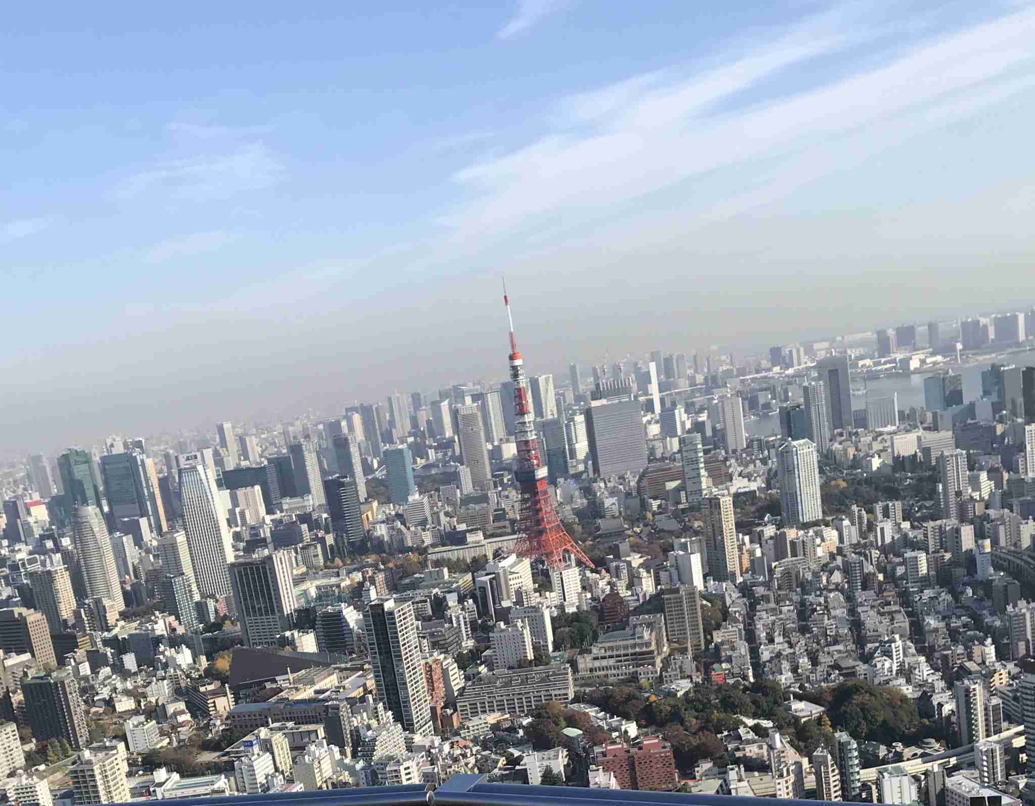あす師走に夏日か　週末は冬の嵐で真冬並み
