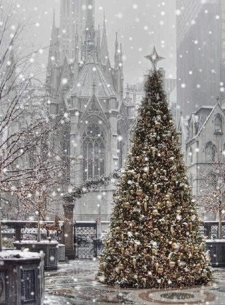 冬好きさん 『画像』