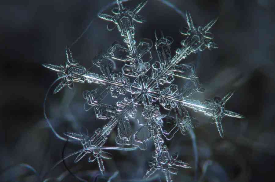 冬好きさん 『画像』