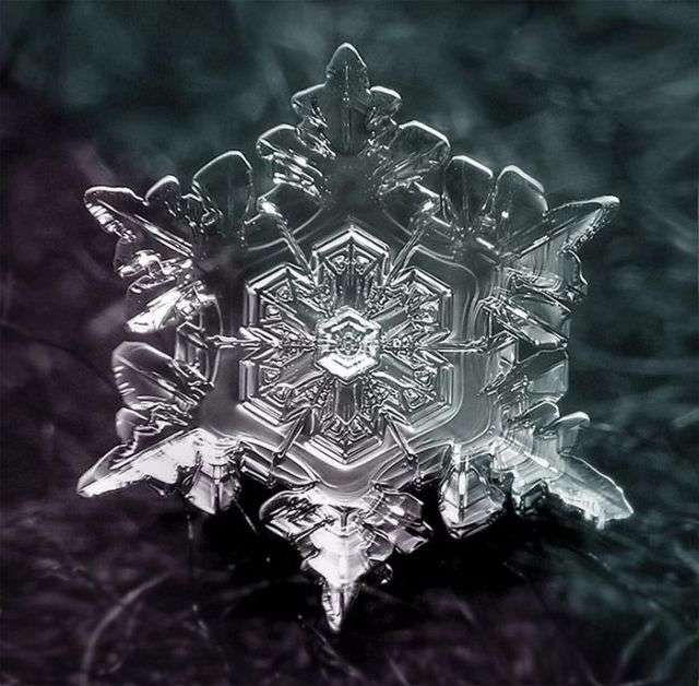 冬好きさん 『画像』