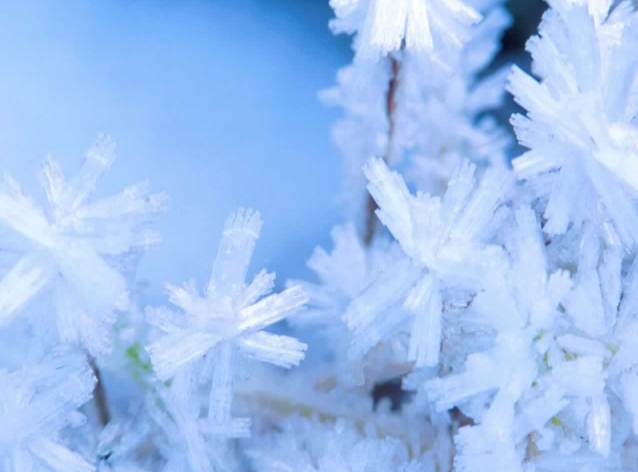 冬好きさん 『画像』