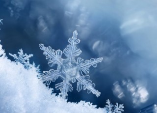 冬好きさん 『画像』