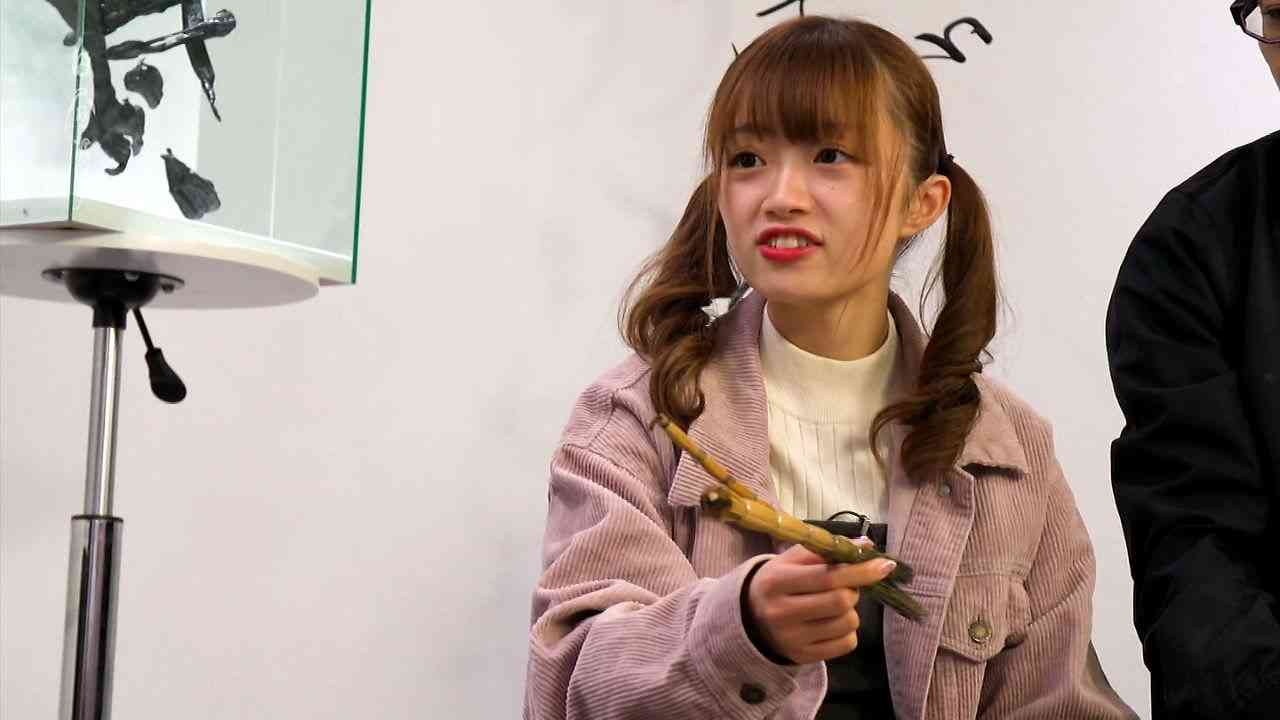 【TV出演ブレイク本数】1位はNGT48中井りか 元アスリートタレントも上位躍進