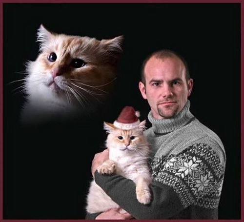 猫か象かチベスナの画像を張るトピ