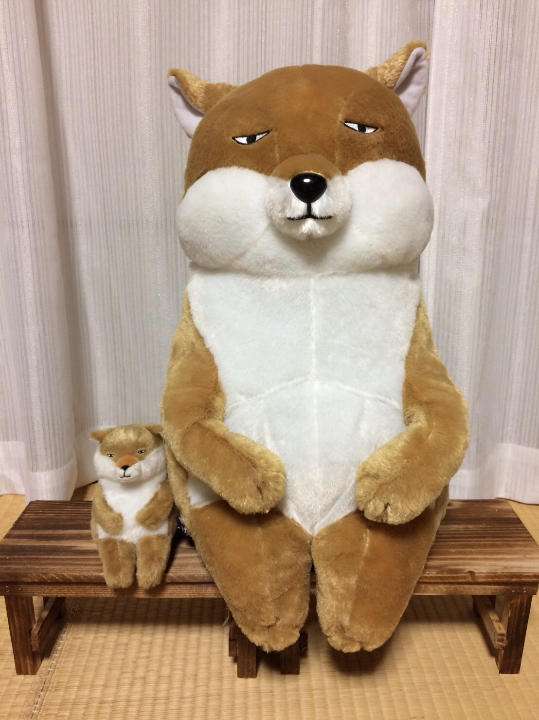 猫か象かチベスナの画像を張るトピ
