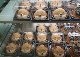 猫か象かチベスナの画像を張るトピ