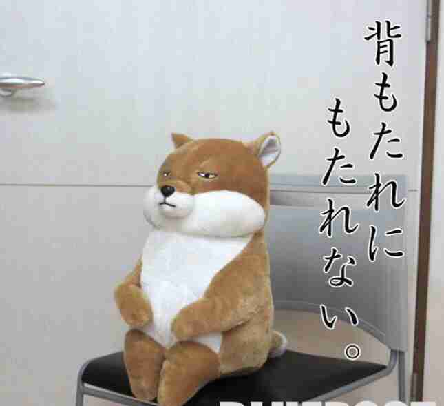 猫か象かチベスナの画像を張るトピ
