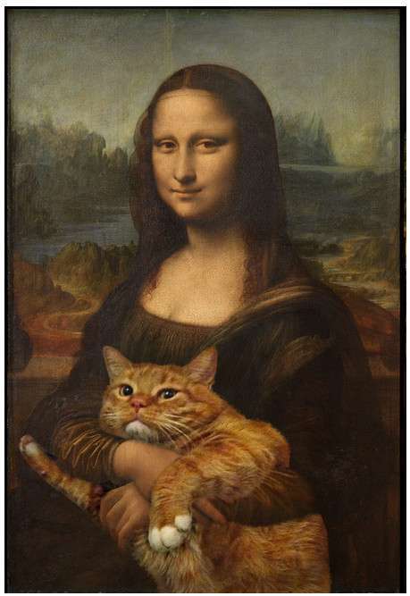 猫か象かチベスナの画像を張るトピ