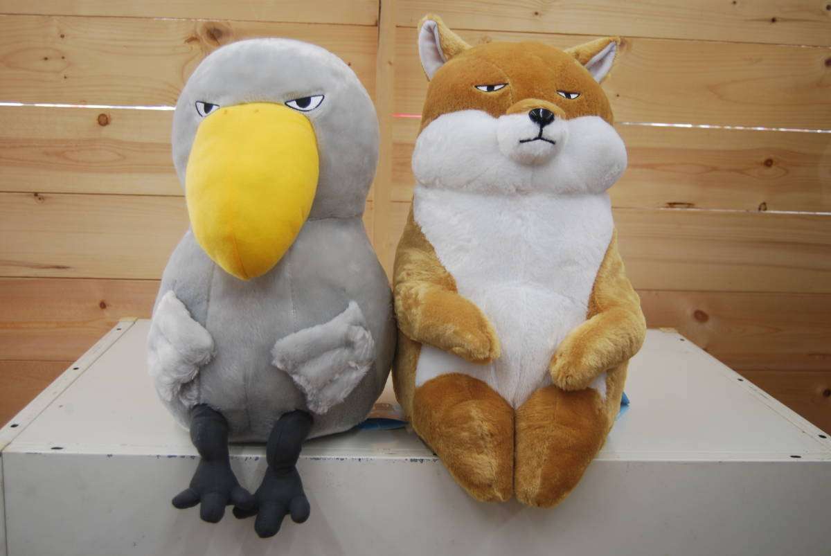 猫か象かチベスナの画像を張るトピ