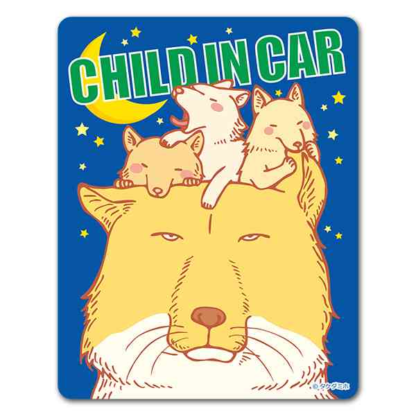 猫か象かチベスナの画像を張るトピ