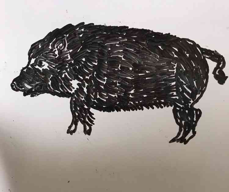 【干支】イノシシ🐗の絵を見せてください【年賀状】