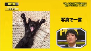 【実況・感想】土曜プレミアム・IPPONグランプリ【20回記念大会!松本人志も絶賛の熱戦】