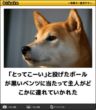 ガルちゃんでよく貼られる好きな画像