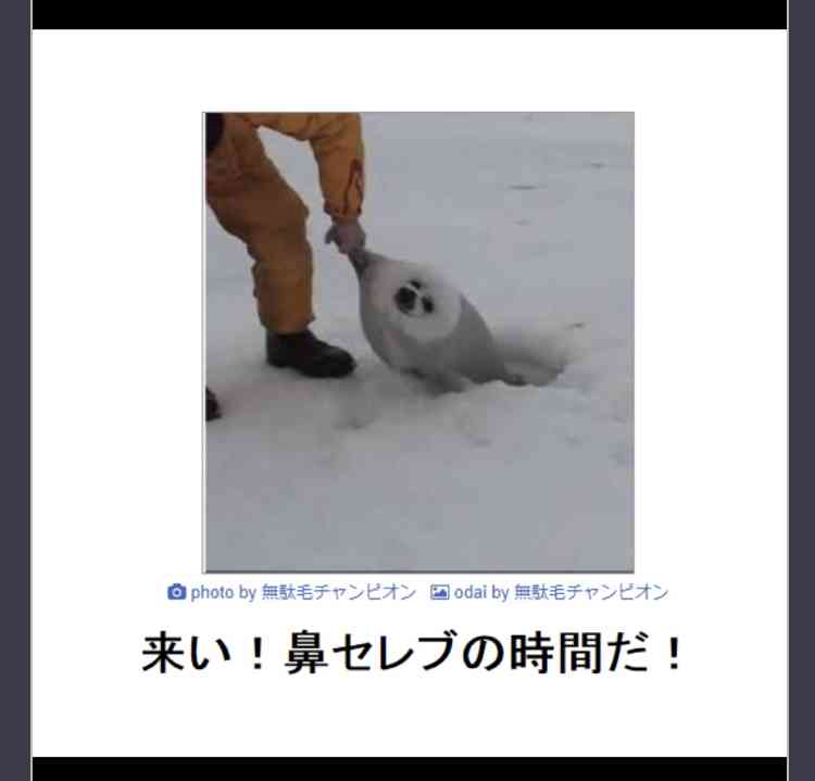 ガルちゃんでよく貼られる好きな画像