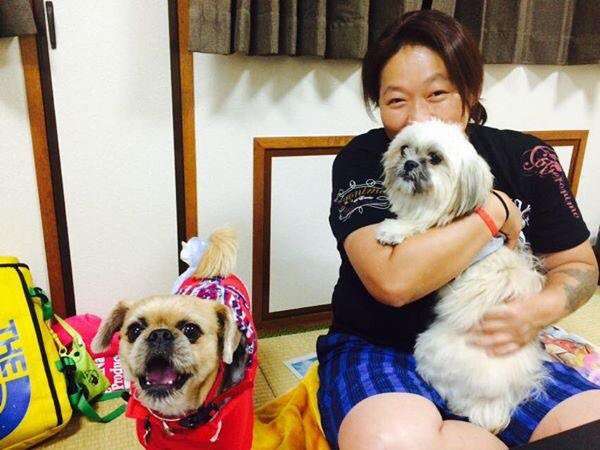 長与千種、愛犬が手術中に死亡　獣医に怒り「謝りも説明もない。二度と医術に携わるな」