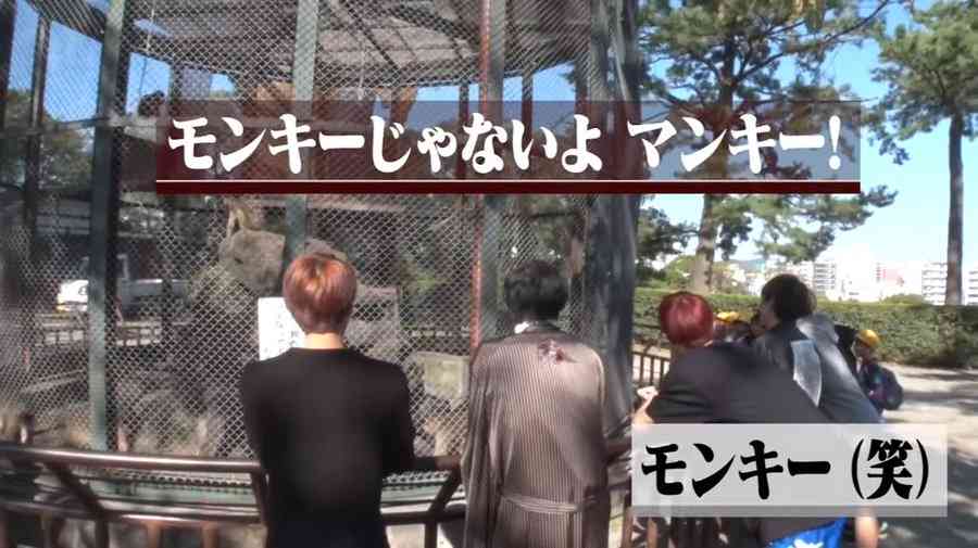 ジャニーズJr.チャンネル見ている方！