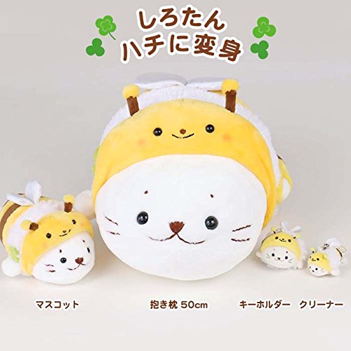 ジャニーズJr.チャンネル見ている方！