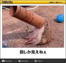 自分の人生の中で一生言わないであろうセリフ