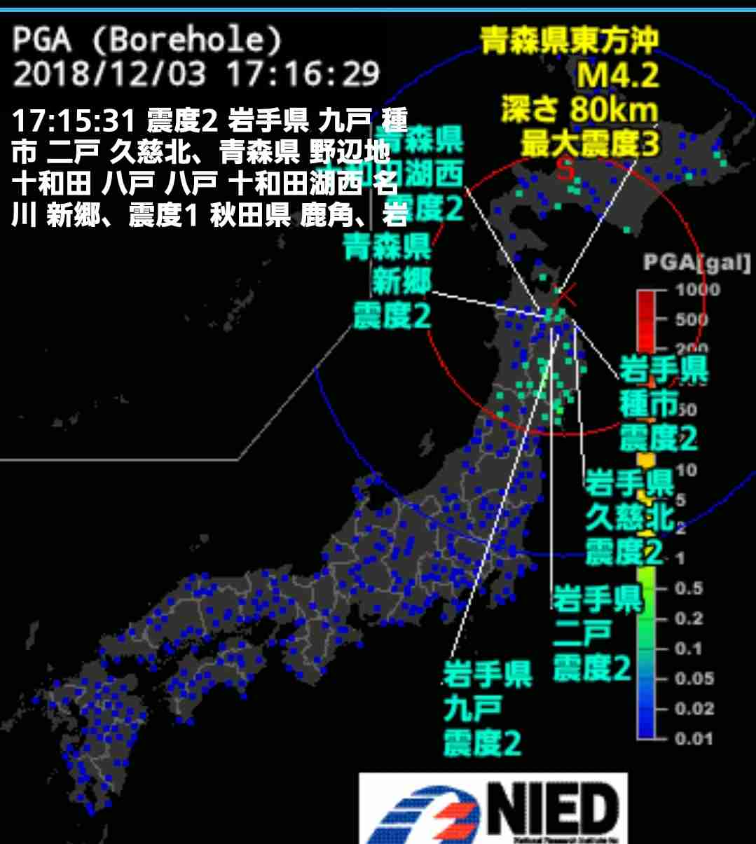 強がりな人