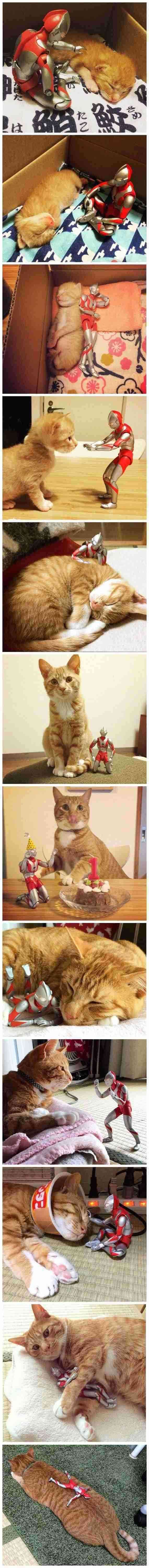 がるちゃんでダウンロードした画像