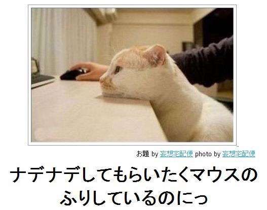 がるちゃんでダウンロードした画像