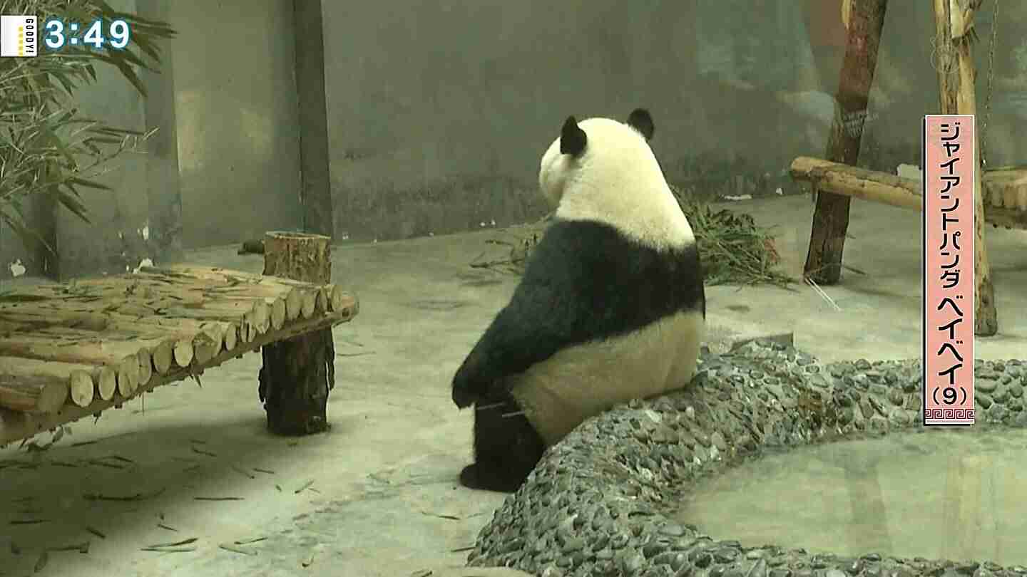 がるちゃんでダウンロードした画像