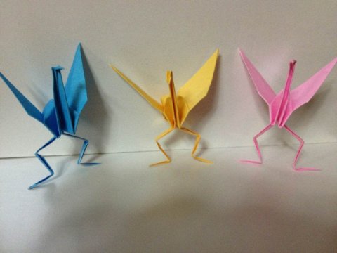 がるちゃんでダウンロードした画像