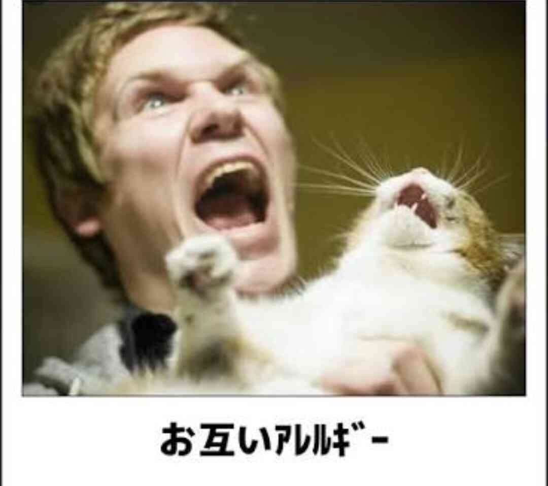 がるちゃんでダウンロードした画像