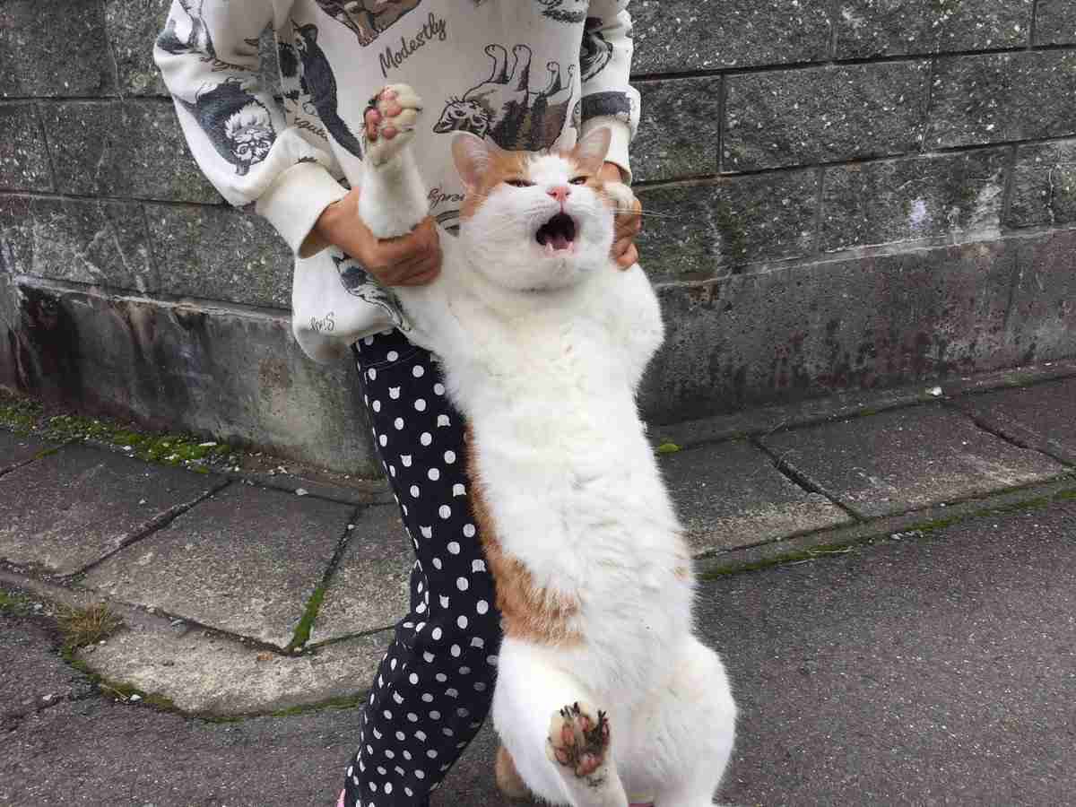 がるちゃんでダウンロードした画像