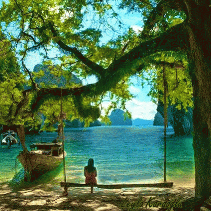 がるちゃんでダウンロードした画像