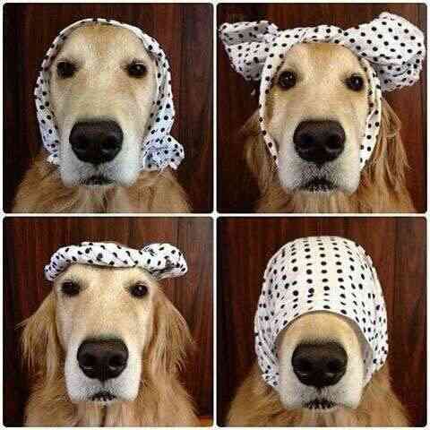 がるちゃんでダウンロードした画像