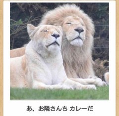 動物のboketeを貼るトピpart2