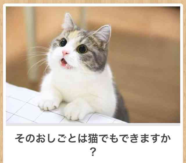 【スギちゃん】秋から冬へ〜寒さなんて吹っ飛ばすぜぇ〜🍁⛄️【パート30】