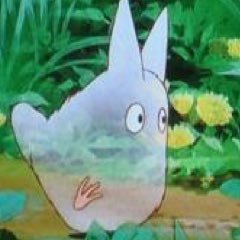 ジブリの登場人物になれるとしたら