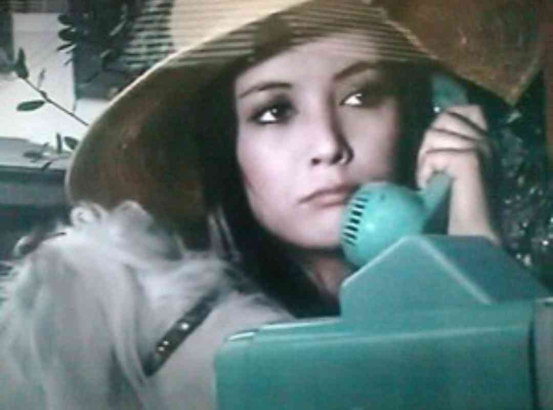 昭和の美人タレントの画像を貼ってください