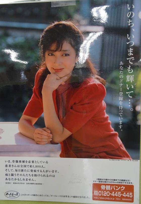 昭和の美人タレントの画像を貼ってください