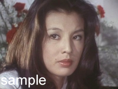 昭和の美人タレントの画像を貼ってください