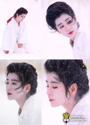 昭和の美人タレントの画像を貼ってください