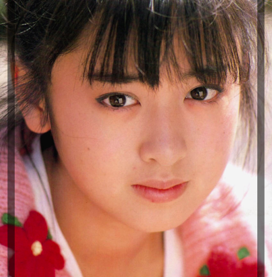 昭和の美人タレントの画像を貼ってください