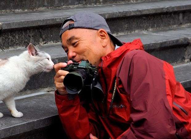 動物たちの「家政婦は見た!」の画像