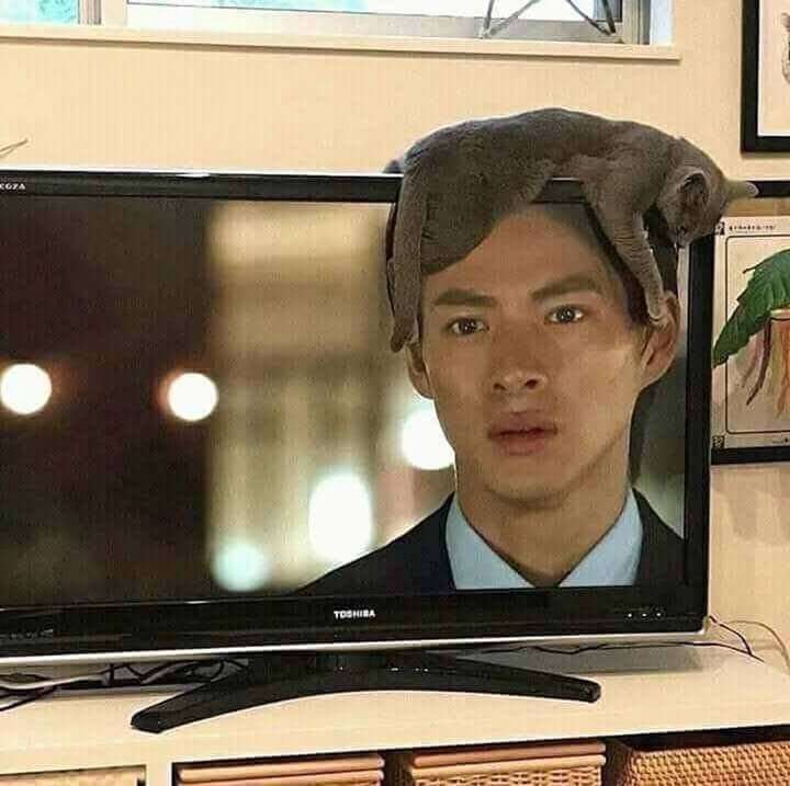 king&prince好きな人👑