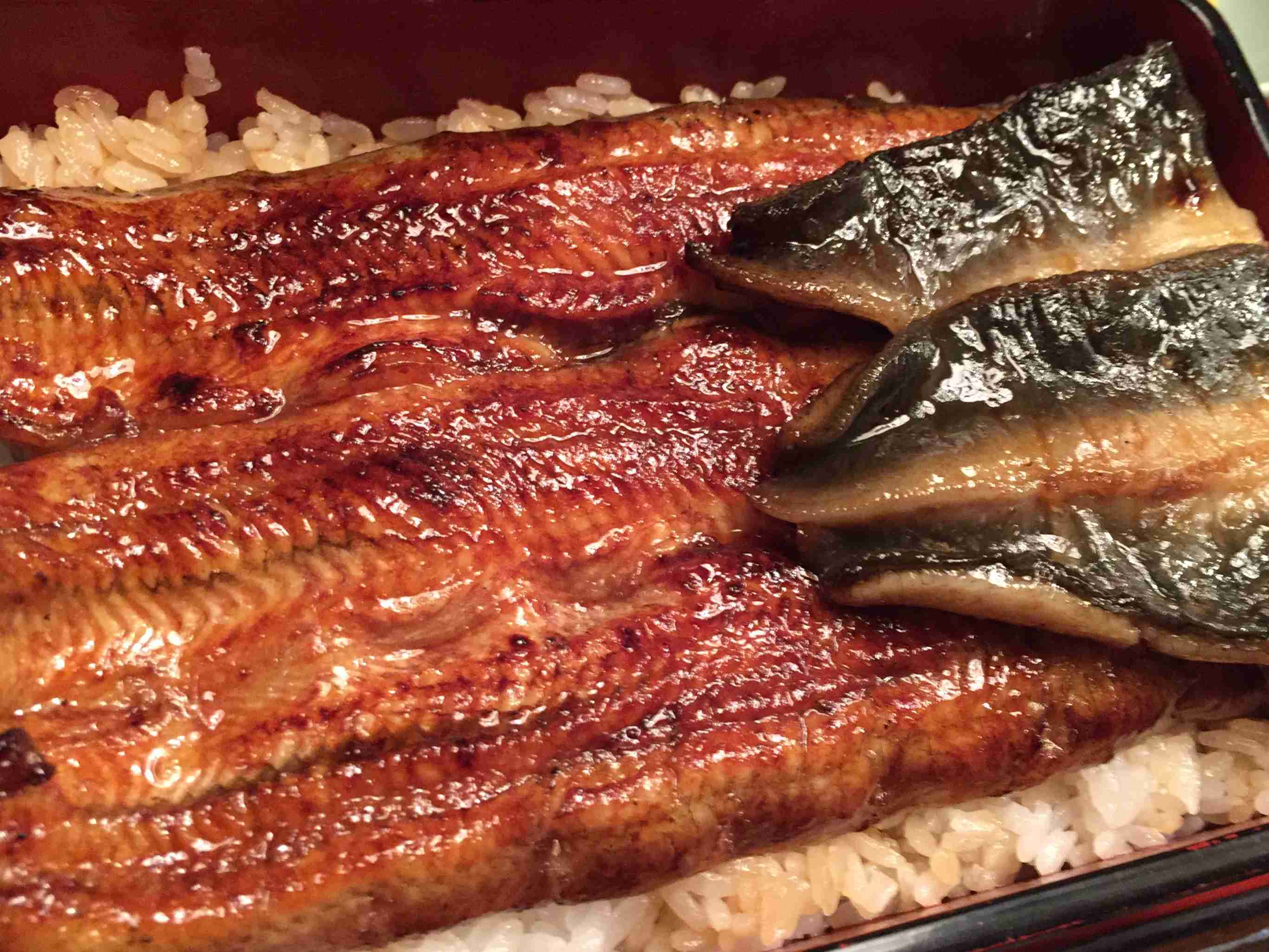 こんな時間に見なければ良かったもの