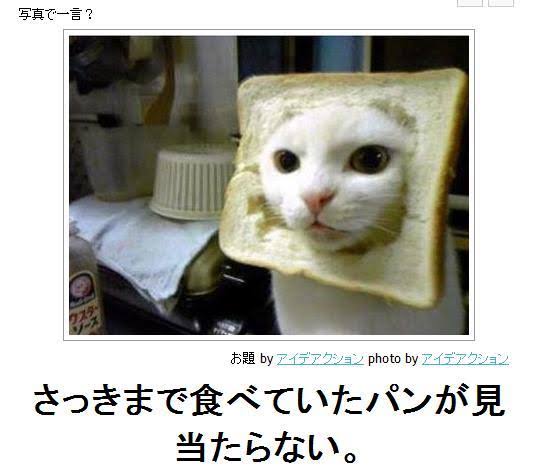 ひたすらボケて遊ぶトピpart2
