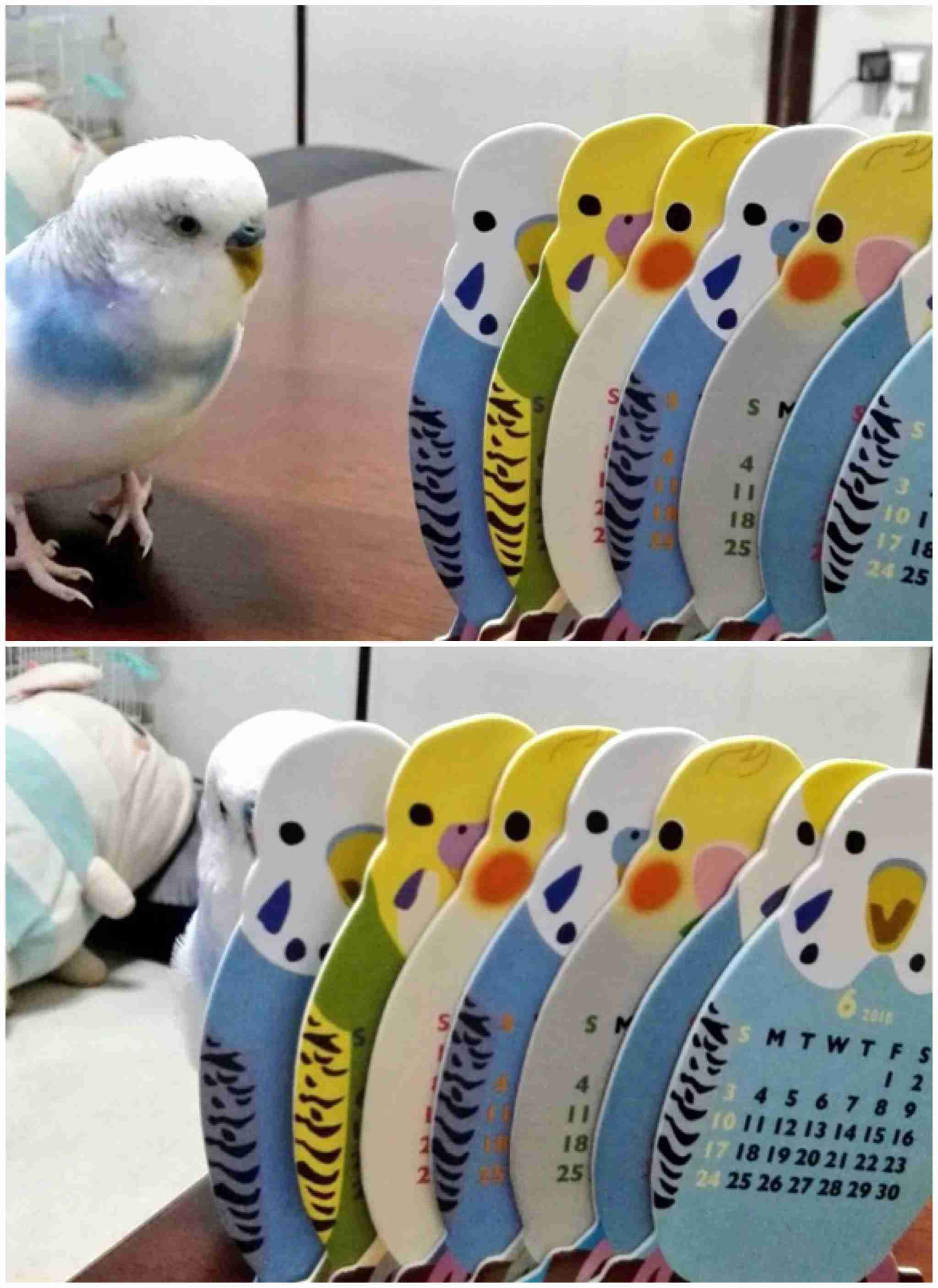 ひたすらボケて遊ぶトピpart2