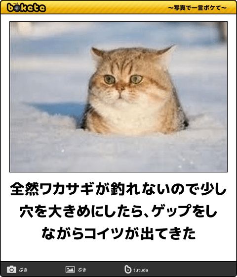 ひたすらボケて遊ぶトピpart2