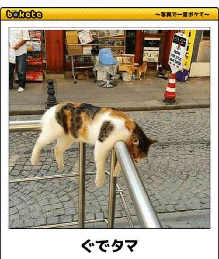 ひたすらボケて遊ぶトピpart2