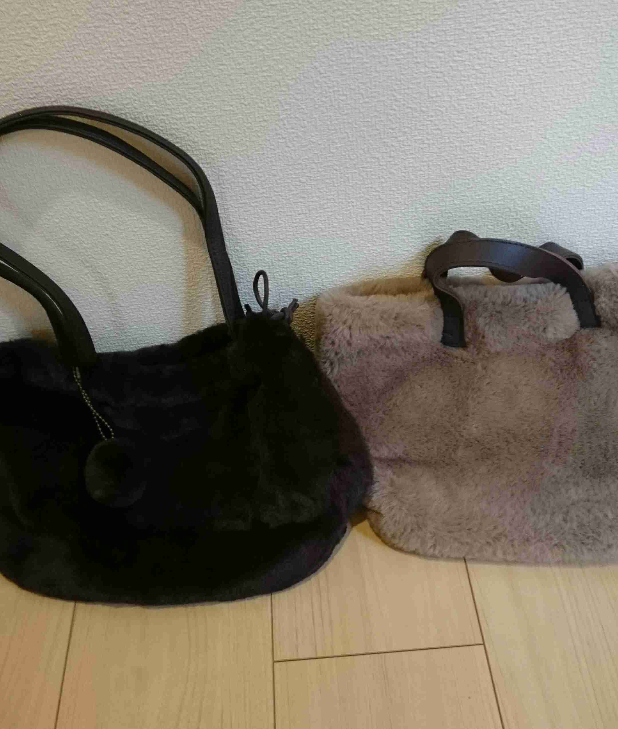 【定期トピ】雑誌付録1・2月号