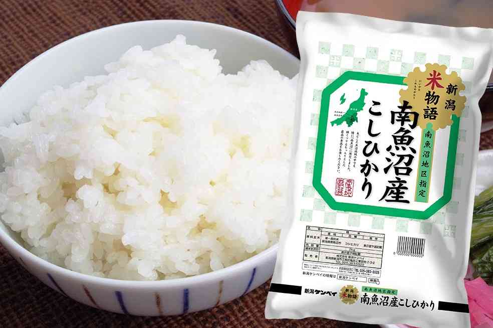 新潟県は何地方？