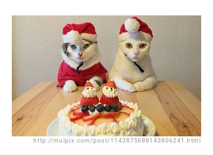 みんなのクリスマスケーキが見たい！